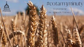 #cotam3minuty #221 - Wspomnienie św. Agnieszki, Dziewicy