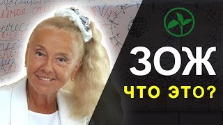 Что есть здоровый образ жизни? Рассказывает врач - терапевт Устинова Ольга Ивановна