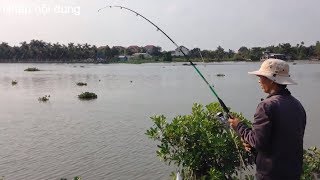 thú vui câu cá/địa điểm câu mới .
