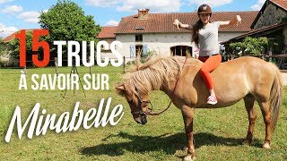 ~ 15 TRUCS À SAVOIR sur Mirabelle ! ? ❤ ~