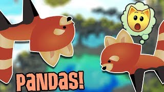 Animal Jam Update: RED PANDAS ARE COMING?!