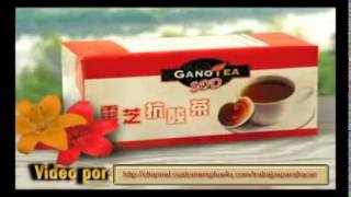 Que es Gano Cafe y como influye en la buena Salud