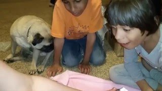 *Box Opening- Drink and Wet Silicone Baby Raven by An Huang