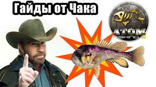 Илистый дракон / Atom Fishing II / #Гайды_от_Чака