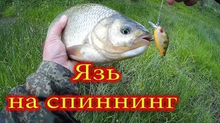 язь, голавль на спиннинг, река ИК,  рыбалка в башкирии