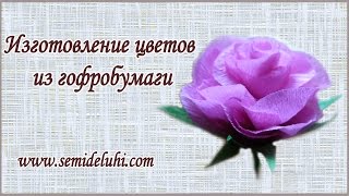 Цветы из бумаги. Изготовление цветов из гофробумаги