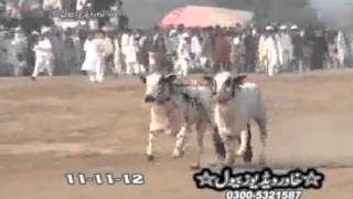 Khan Zafar Khan 11/11/12 Winning thressure