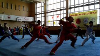 Чемпионат Запорожской области по УШУ. 11.03.17г.
