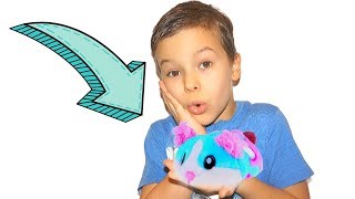 Хомячки и Хома Дома. Как Эндрю найти подарки на  Новый год?
