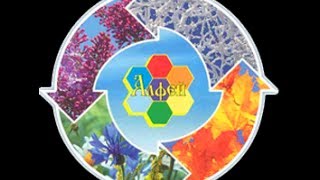 Новые клетки новые органы новое тело