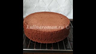 Шоколадный бисквит для торта