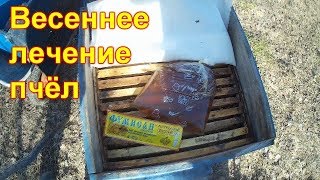 Весенняя стимуляция пчел, профилактика от нозематоза, обработка от клеща