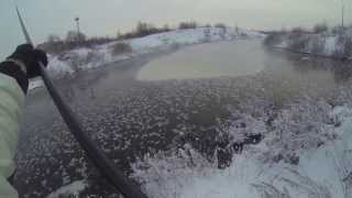 Летний боковой кивок зимой