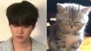 BTS ON CRACK #11 *pack de J-hope +omma Jin en el super*