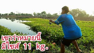 เขาว่าหมายนี้มีรุ่น 11 Kg. ตีชะโดเหยื่อสด จะได้ไหมไปดูคับ!! by ครัวบ้านผม