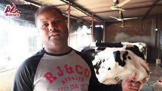 ঢাকায় ডেইরি ফার্ম|সাবধান! চিটার বাটপার থেকে|গুরুত্বপূর্ণ তথ্য|পর্ব 162