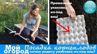 САЖАЮ КОРНЕПЛОДЫ// ДЛЯ ЧЕГО РЕДИСУ КОНТЕЙНЕР ИЗ ПОД ЯИЦ