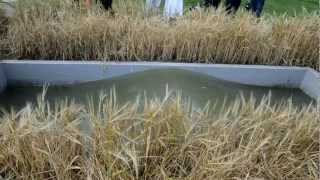 dOCUMENTA (13)-Wave (Massimo Bartolini)