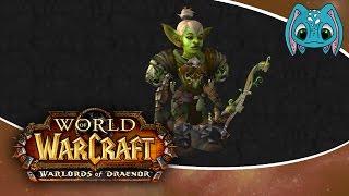 World Of Warcraft  How To Transmog for a Hunter!!