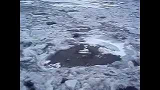 Река Индигирка
