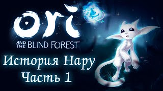 Ori and the Blind Forest: Definitive Edition - Норы меж черных корней - История Нару [#20] | PC