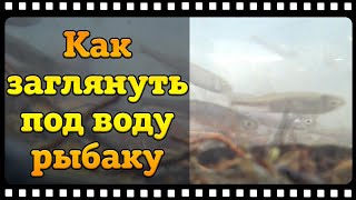 WI FI под водой или подводная камера для съёмки видео с рыбалок, что выбрать!?