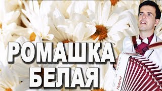 ?РОМАШКА БЕЛАЯ?ЭТО ШЕДЕВР!!!? ВЫ ТОЛЬКО ПОСЛУШАЙТЕ!!!?