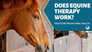 Does Equine Therapy for Addiction Work? (2019)