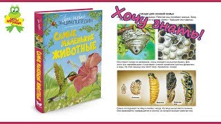 Книга Эмили Бомон: "Самые маленькие животные", твоя первая энциклопедия, издательство Махаон