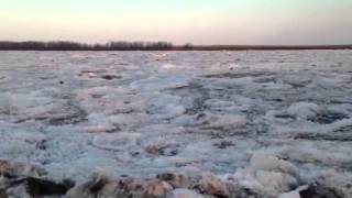 Ледоход протока Пемзенская, река Амур. апрель 2014