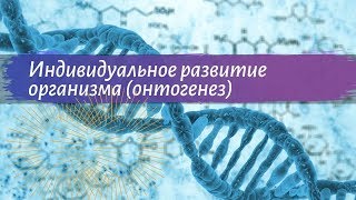 Биология 9 класс Пасечник $13 Индивидуальное развитие организма онтогенез