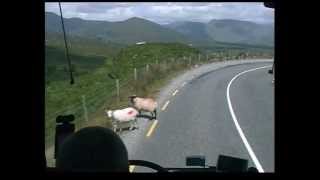 Irland - Ring of Kerry
