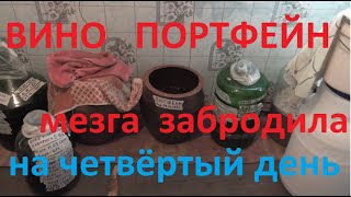 МЕЗГА ЗАБРОДИЛА на четвёртый день