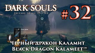 Dark Souls: Black Dragon Kalameet / Черный Дракон Каламит - последний отрубленный хвост в игре.