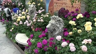 2014 国際バラとガーデニングショウ（ガーデニング編Ⅰ） International Rose & Gardening Show 2014 (Gardening sector Ⅰ)