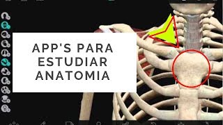 Aplicaciones para estudiar anatomía recomendas por T. O. P.