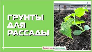 Грунты для рассады. Сравниваем и выбираем. 8 разных образцов