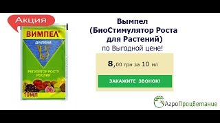 Купить Стимулятор Роста для Растений Вымпел. Биопрепарат!