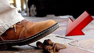 TUTO CROTTE DE CHIEN