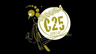XARANGA C25 CONCURS DE XARANGUES SUECA 2014  1 PREMI