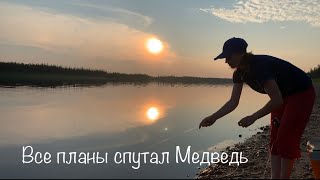 Все планы спутал Медведь