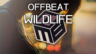 Offbeat - Wildlife (feat. Nicola Jayne) [Free Download]