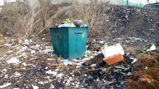 Богодухов TV. «Першоцвіти» наших вулиць. 2019