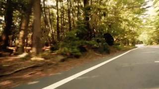 Aokigahara "Suicide Forest" Hidden Caverns