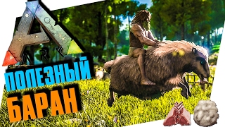 ARK: SURVIVAL EVOLVED - ОЧЕНЬ ПОЛЕЗНАЯ ОВЦА, ОВИС, ШЕРСТЬ И БАРАНИНА