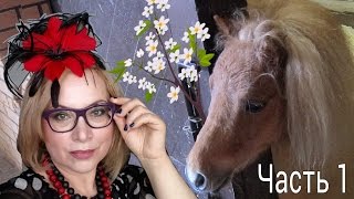 Аутфиты для скачек, лошади, конюшни! Все круто! Vlog (часть 1)