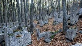 Дорога к древнему кладбищу. Видео коп