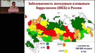 18.02.2017 - Клинические маски боррелиоза