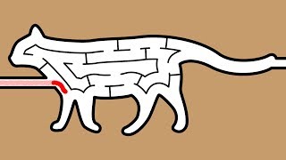 【迷路】ねこのめいろ【答えもあるよ】