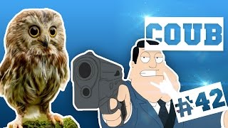 COUB 'ики #42: А вы курили огурцы?